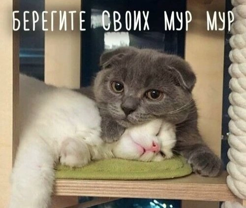 file_100258147