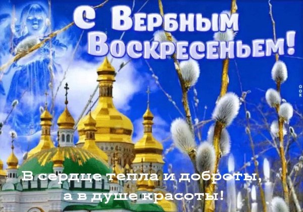 IMG-20250413-WA0024