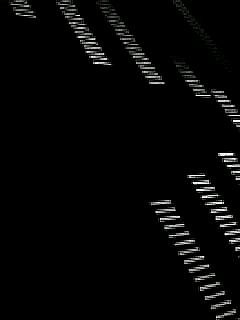 BlackWhitеЕlm