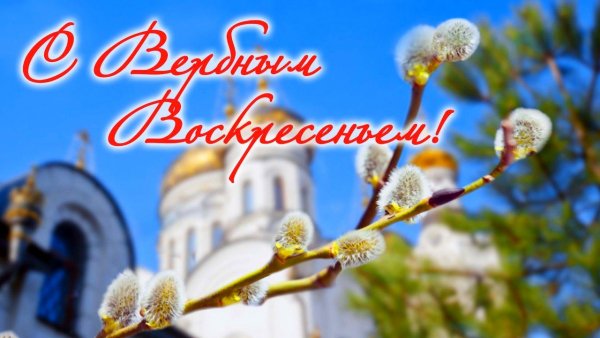 file_99528823