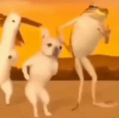 Dog frog dance 3