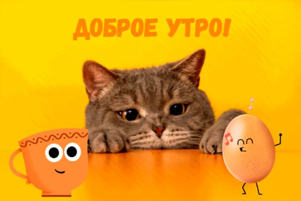 file_91379730