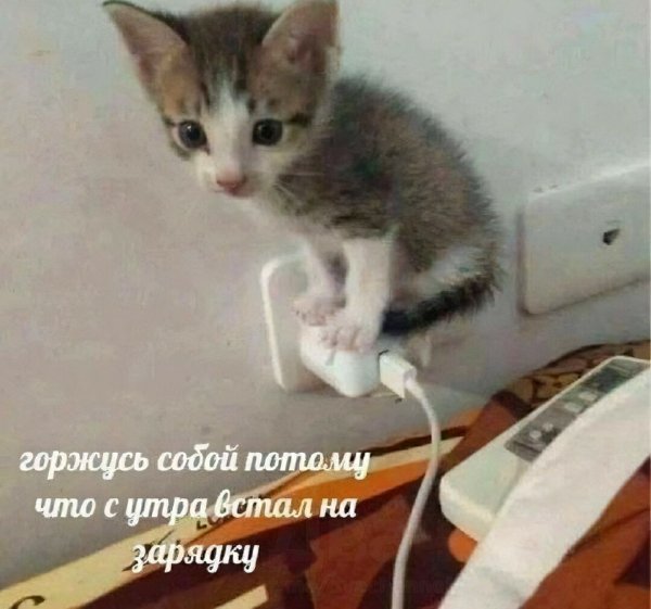 На спорте )