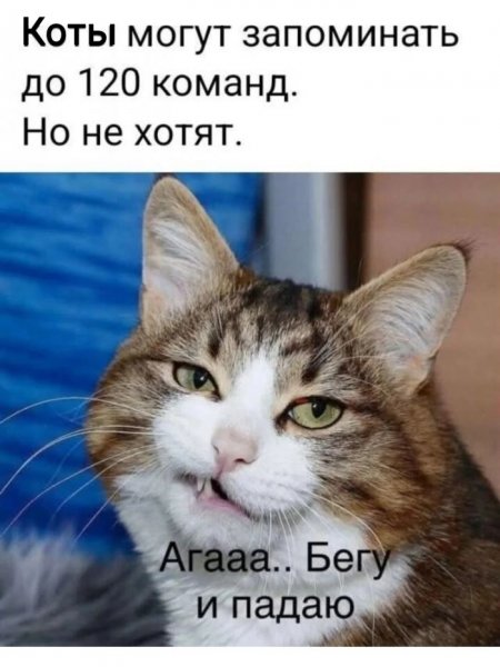 F4d498da44 00000
