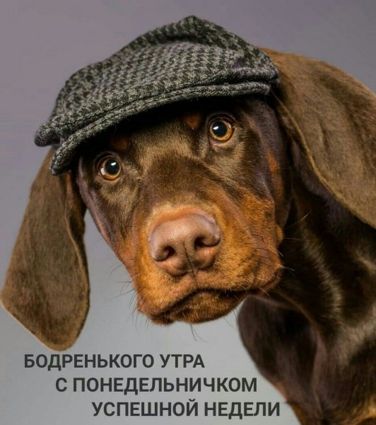 Всем вам!