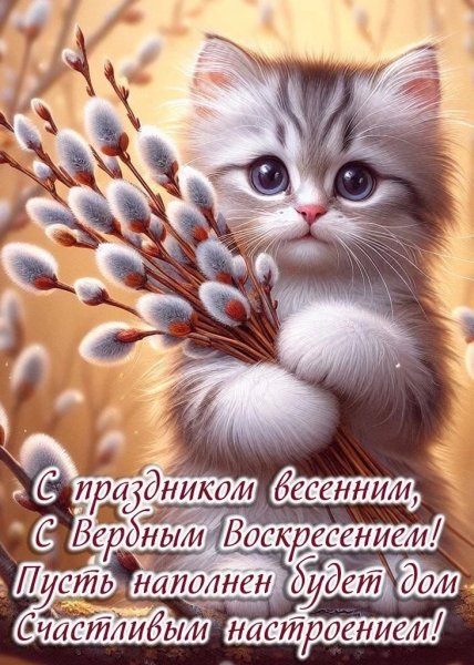 PgJrr7FlfDsZ6AoTaLKe7mjVEp3E1UQ1eCwweJO-cR5Lc8ypThgjILMZE