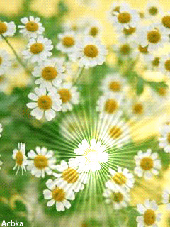 1321693.gif