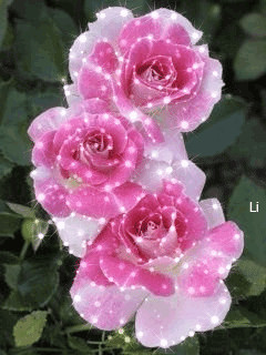1423246.gif