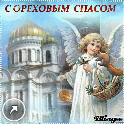 А 0 1b4efd d598e1f2 GIFXL.gif