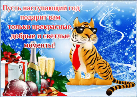 IMG 20211226 013348.gif