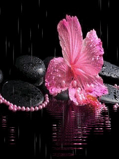 1380288.gif