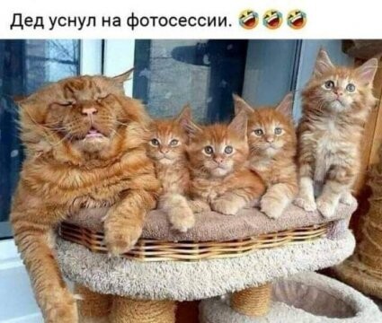 319360690 p 0 360 0.jpg
