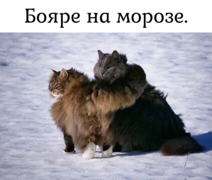 314734138 p 0 360 0.jpg