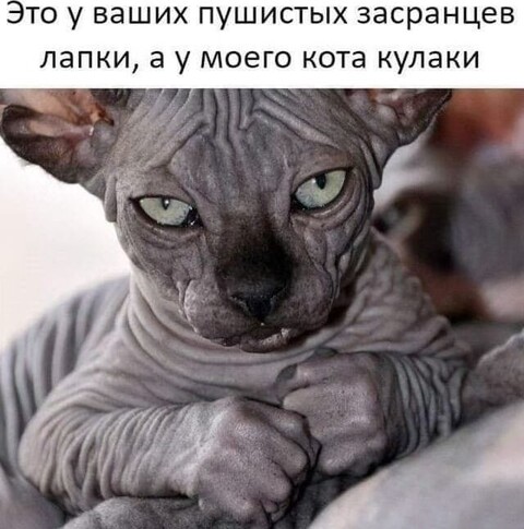 e1b77cf9-c709-4e8c-b579-063cb4ff42c1.jpg