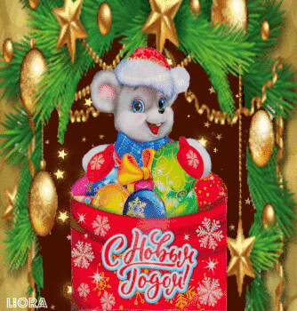 1517313.gif