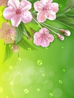 1315543.gif