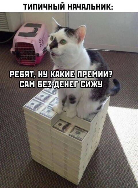 0729acc7-43c8-4e71-b6d0-22b343ee5157.jpg