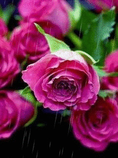 1323301.gif