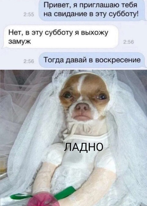 f88f6e0f-f567-4679-bd9b-6e7c368ed80f.jpg