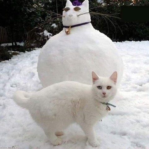 1615558355368 image.jpg