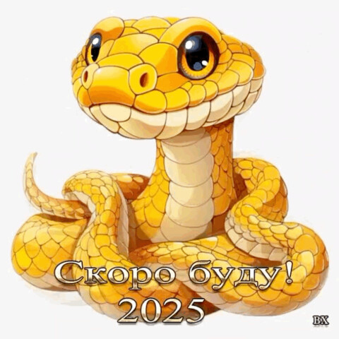 Скоро Буду 2025 год.gif