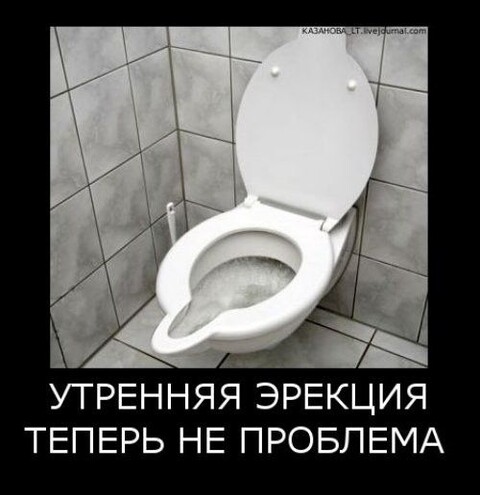 IMG-20250613-WA0013.jpg
