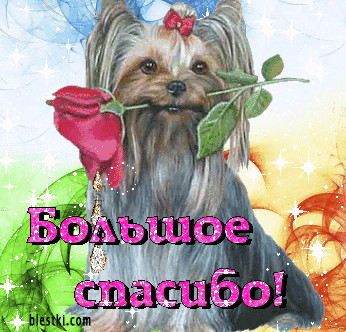 1Аspasibo 35.gif