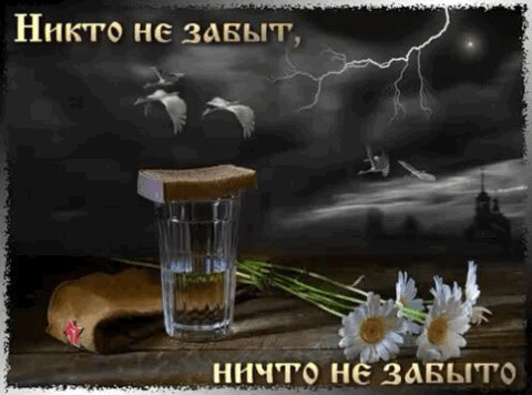 9 мая.gif