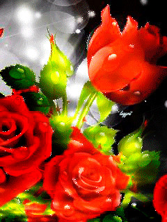 1323104.gif