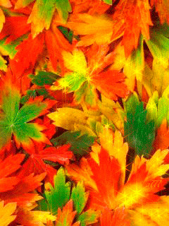 1395470.gif