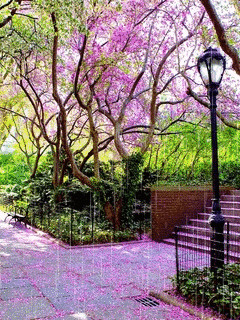 1340703.gif