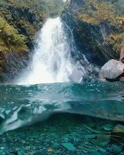 02145ce192063187170800e22277b16a.gif