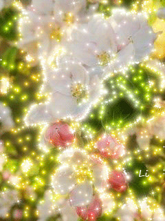 1426666.gif