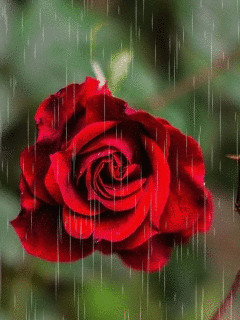 1380282.gif