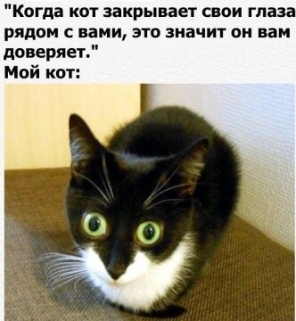 313691666 p 0 360 0.jpg