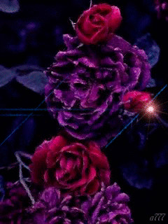 1297549.gif