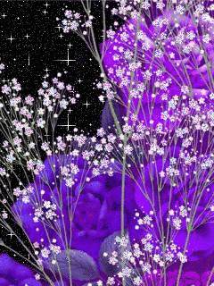 1252144.gif
