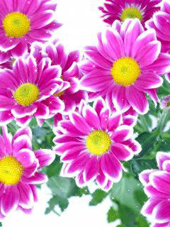 1416735.gif
