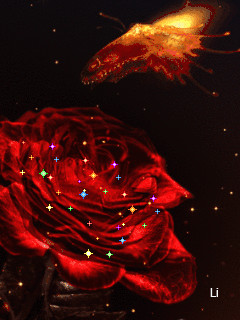 1406883.gif