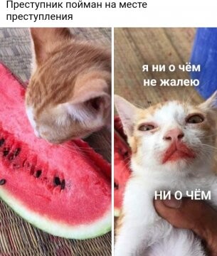 316592564 p 0 360 0.jpg