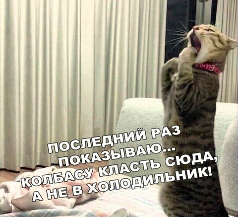 0e3b4b50-3f02-456d-9ae3-a51083630461.jpg