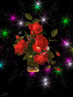 1260225.gif