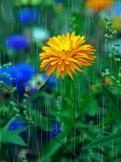 1346012.gif
