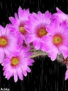 1340599.gif