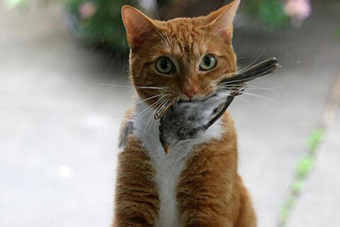 1593366744155 image.jpg