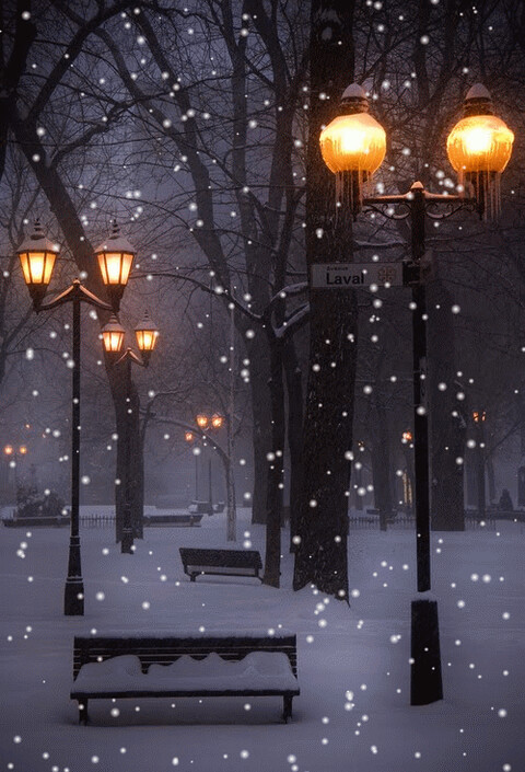 a2f809dc1099cefbedc1d90e0f5637ff.gif