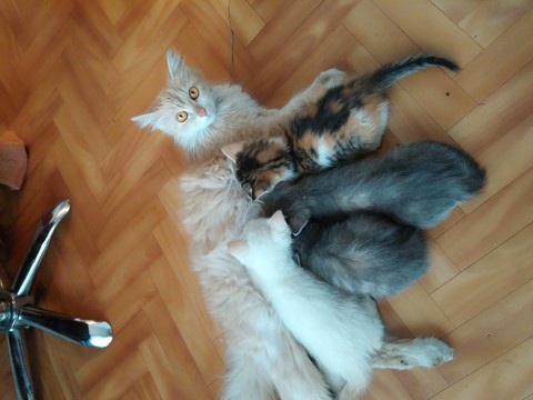 CAM00150.jpg