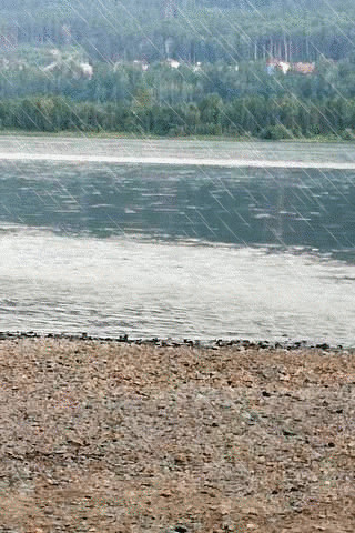 1461069.gif