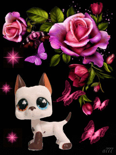 1260214.gif