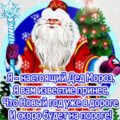 Я настоящий дед мороз.gif